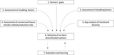 Decision-Making to Diversify Farm Systems for Climate Change Adaptation